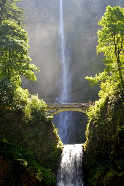 Multnomah Waterfalls — Stock Photo, Image