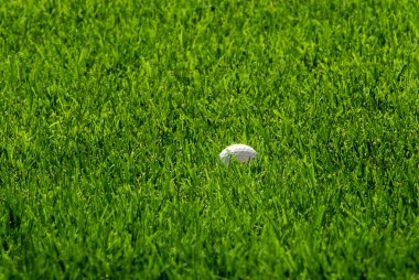 Golf Ball in Green Grass clipart