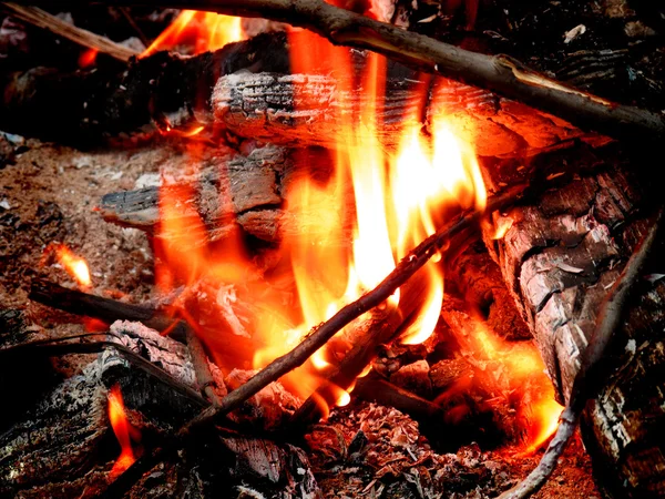 Feu de camp avec charbons chauds — Photo