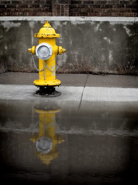 Hidrante de fogo amarelo — Fotografia de Stock