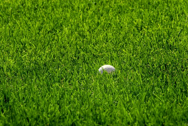 Golfboll i grönt gräs — Stockfoto