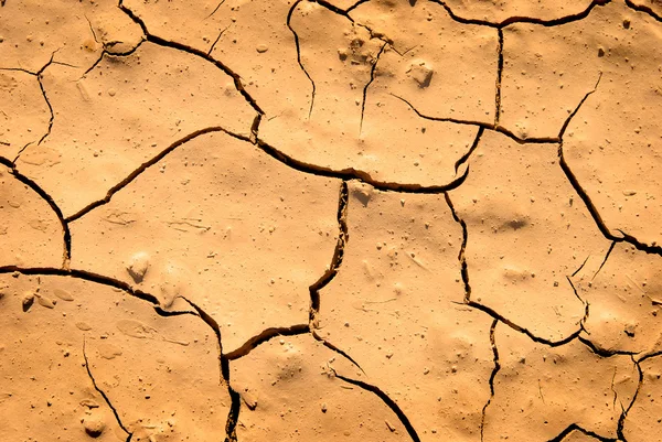 건조 가뭄 먼지 — 스톡 사진