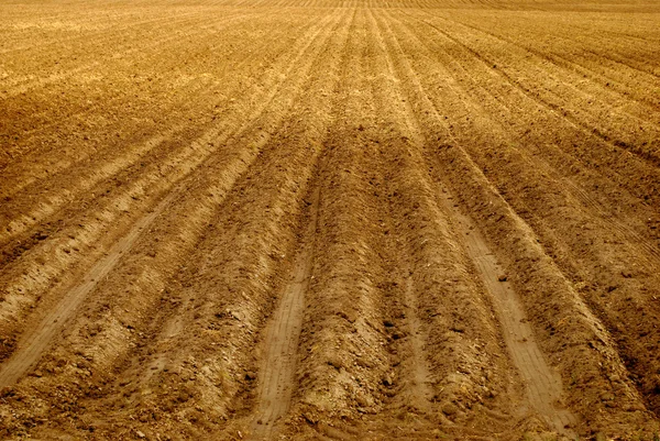 Rows of Furrows in Field — Stock Photo, Image