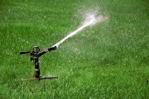 Watering A Seed Stock Photos, Royalty Free Watering A Seed Images 