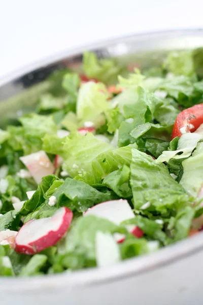 stock image Green salad