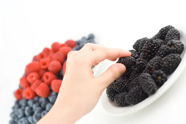 böğürtlen toplama