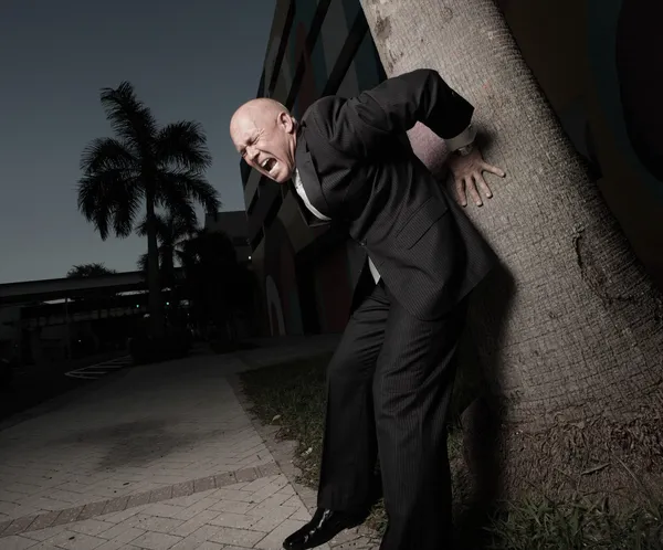 Hombre sosteniendo una palmera cayendo — Foto de Stock