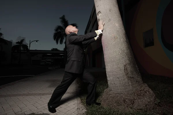 Empresario sosteniendo un árbol de la caída — Foto de Stock