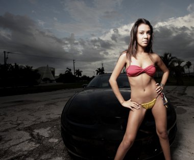 Sexy woman posing by a car clipart