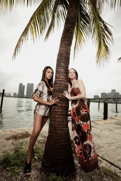 Two models and a palm tree — Stock Photo, Image