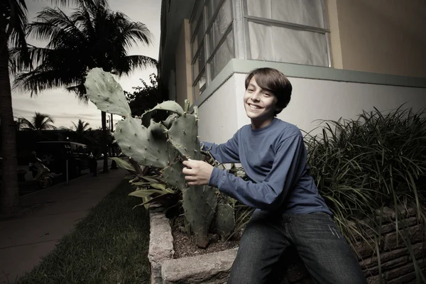 Boy and a cactus plant — Stock Photo, Image