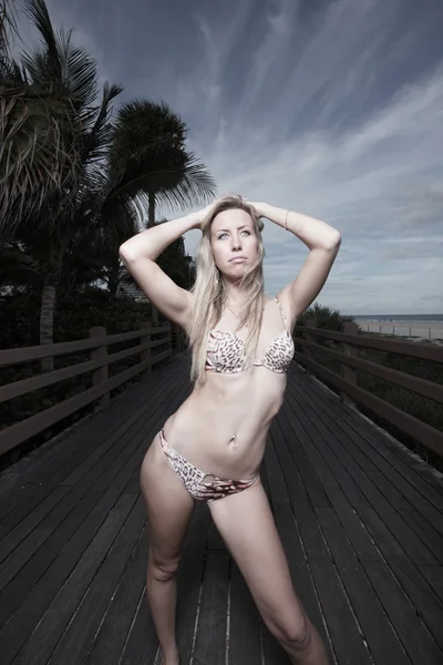 Mujer posando en bikini — Foto de Stock