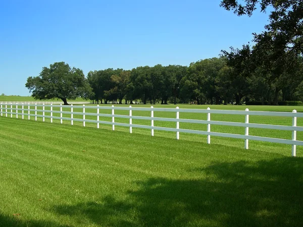 Bílý dřevěný plot — Stock fotografie