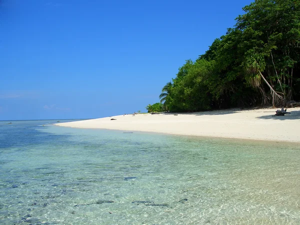 Sipadan island beach, Sabah, Malaysia — Stockfoto