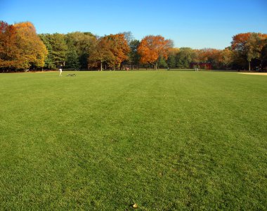 Great Lawn, Central Park, New York clipart