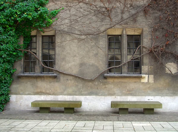 Stone benches — Stok fotoğraf