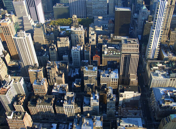 5th avenue and Bryant Park seen from Empire State building in the morning, Manhattan, New York