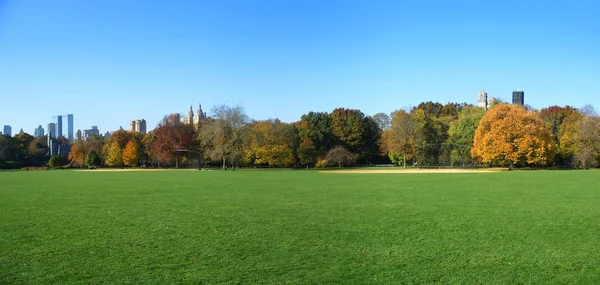 Wielki trawnik panoramiczny widok, central park — Zdjęcie stockowe