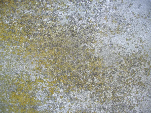 Moss fundo concreto — Fotografia de Stock