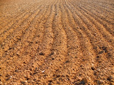 Ploughed field in spring clipart