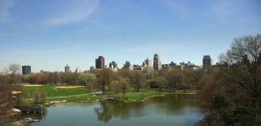 Turtle pond, Central Park, New York clipart