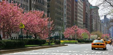 Spring in Park Avenue clipart