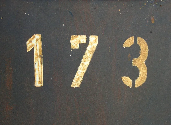 paslı 173