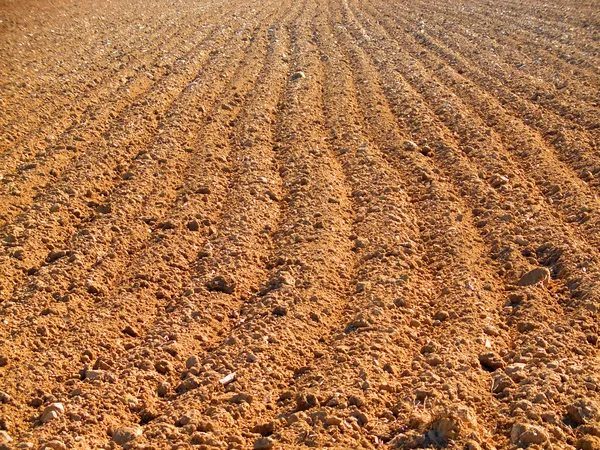 Ploughed field in spring — Stock Photo, Image