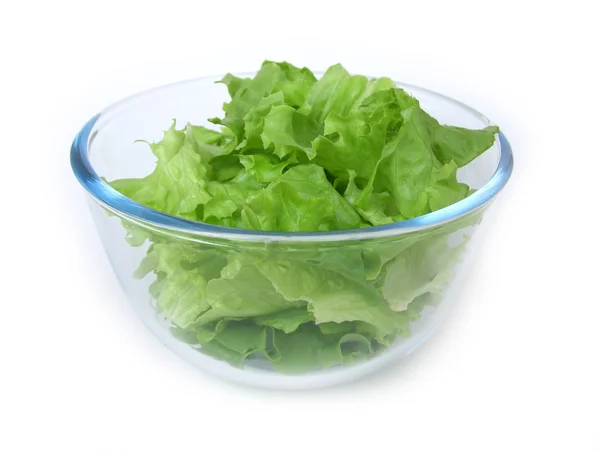 Простий зелений салат — стокове фото