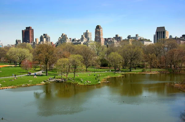 Estanque de tortugas, Central Park, Nueva York — Foto de Stock
