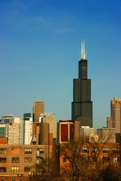 Sears torre desde el este en el cielo azul — Foto de Stock