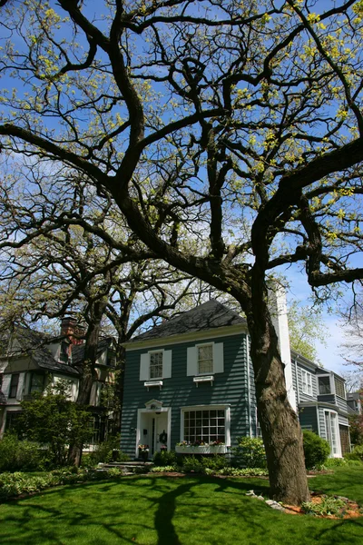 木とオーク ・ パークの家 — ストック写真