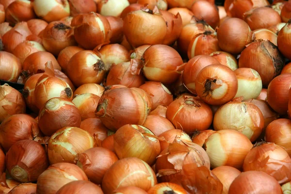 stock image Onions