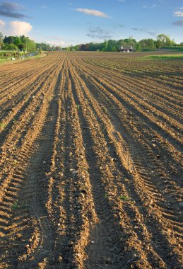 Ploughed field in spring vertical clipart