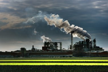 Industrial plant smoke