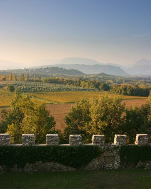 View from a castle clipart