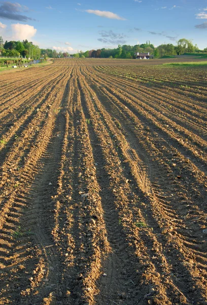 Ploughed field in spring vertical — Stock Photo, Image