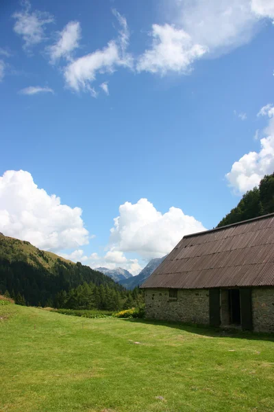Alpine farm, vertical — Stock Photo, Image
