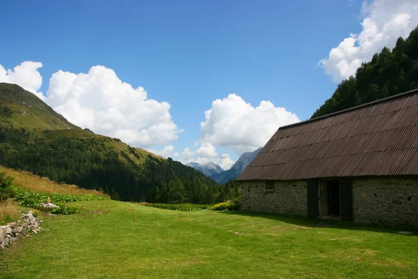 Альпійські ферми, горизонтальні — стокове фото