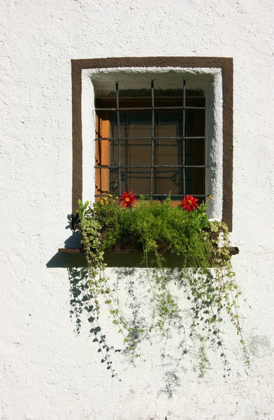 Janela, barras e parede branca — Fotografia de Stock