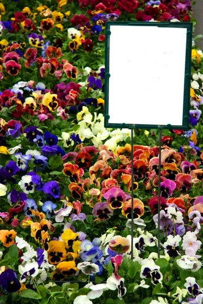 Pantaletas multicolores con signo —  Fotos de Stock