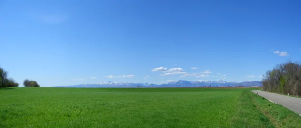 Meadow panorama — Stock Photo, Image
