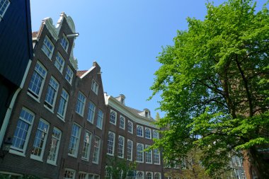 Begijnhof windows