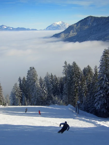 雲の上のスキー — ストック写真