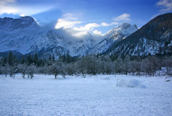 Talvi Mountain maisema — kuvapankkivalokuva