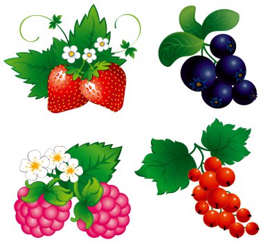 Set of berry clipart