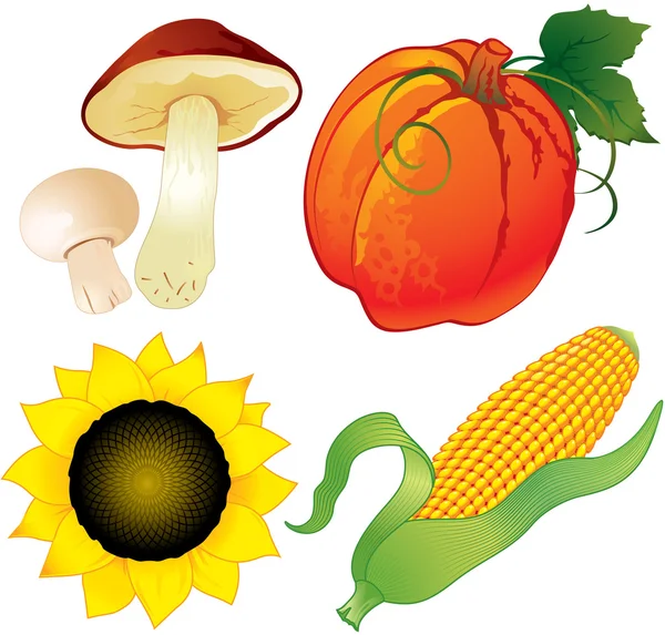 Récolte d'automne — Image vectorielle