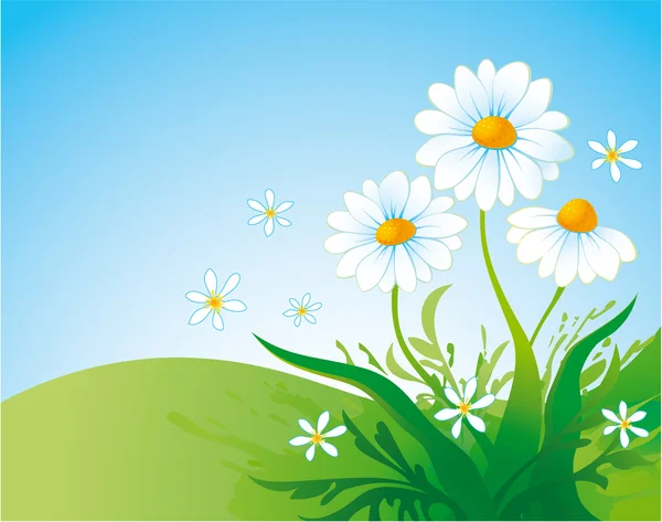 Background with daisy — Stock Vector