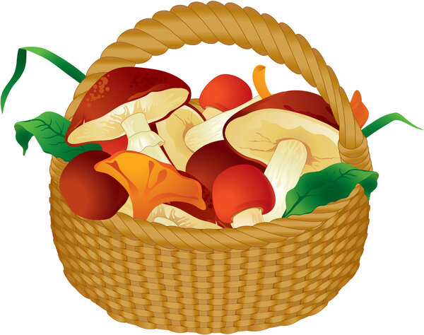 Корзина с грибами
