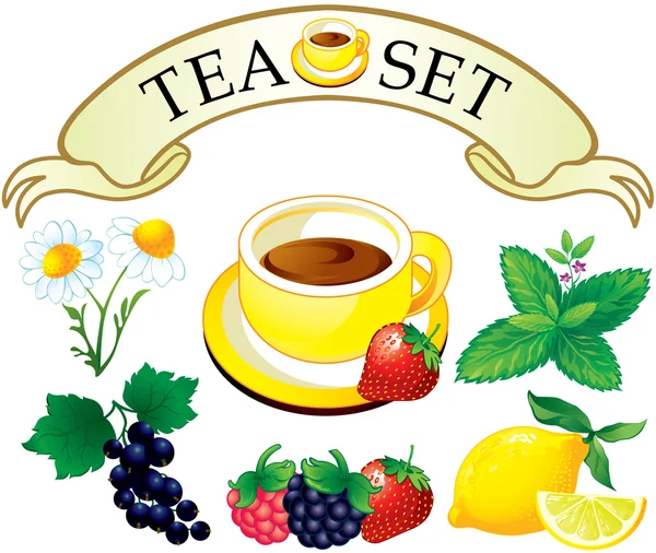 Tea set aromatic plants — Stock Vector
